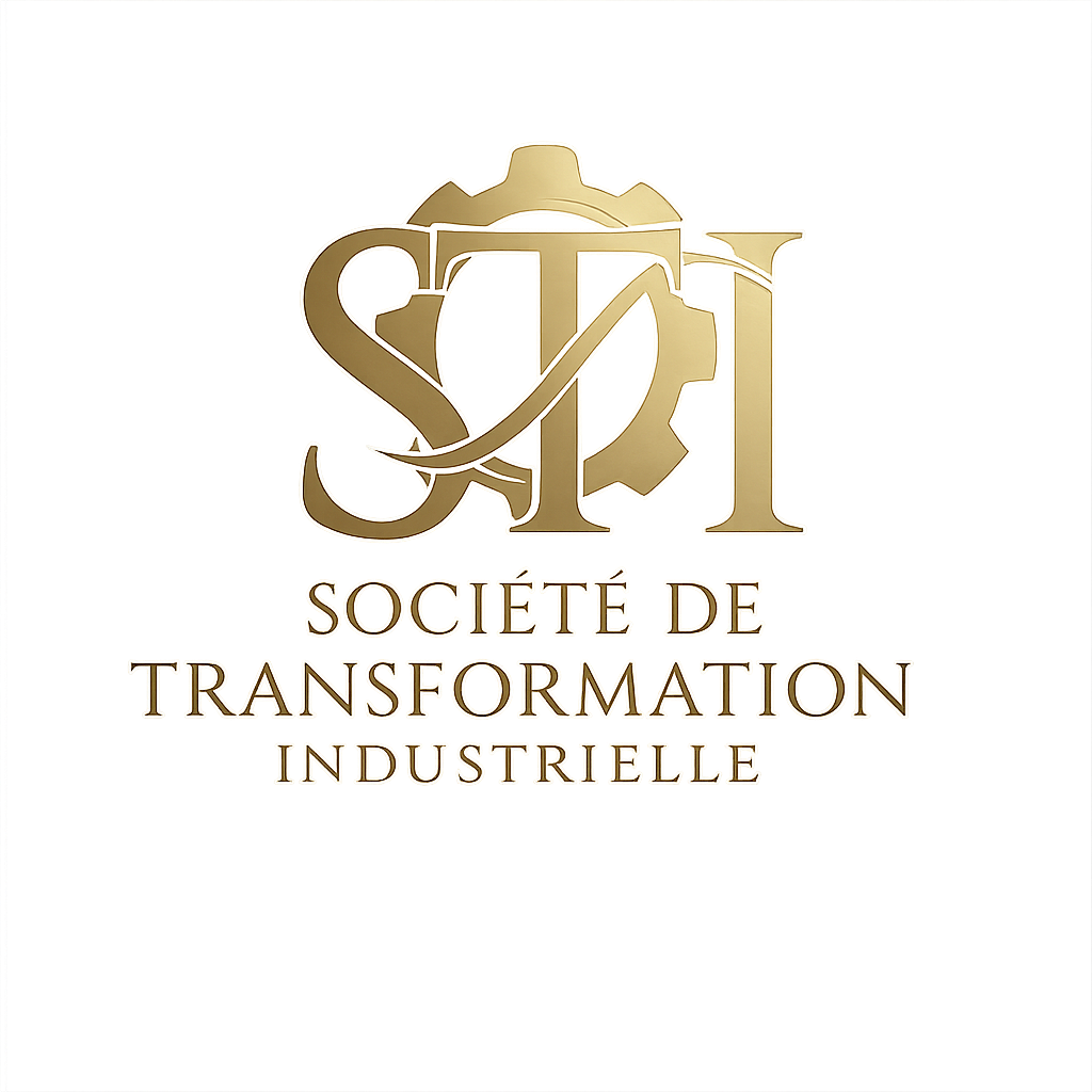 Logo STI